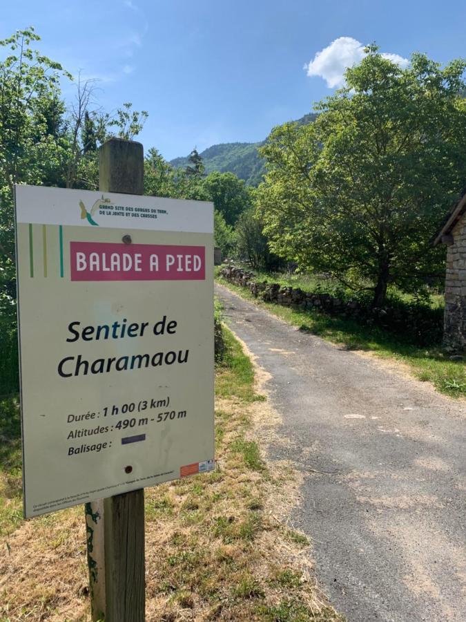 La Voutee 5 Epis Avec Bain Finlandais Prive Au Manoir Du Charme Gorges Du Tarn Acomodação com café da manhã Quezac  Exterior foto