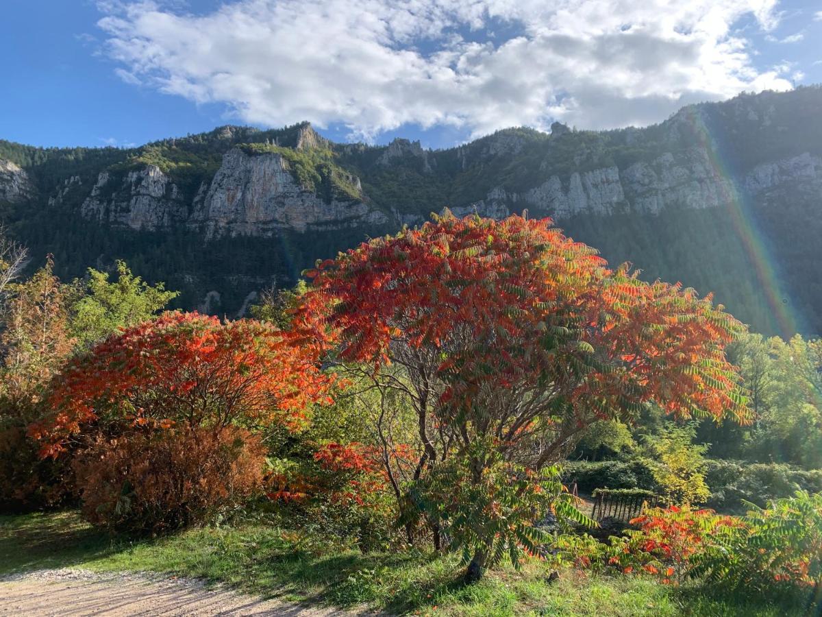 La Voutee 5 Epis Avec Bain Finlandais Prive Au Manoir Du Charme Gorges Du Tarn Acomodação com café da manhã Quezac  Exterior foto