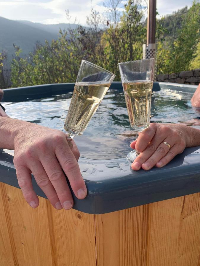 La Voutee 5 Epis Avec Bain Finlandais Prive Au Manoir Du Charme Gorges Du Tarn Acomodação com café da manhã Quezac  Exterior foto
